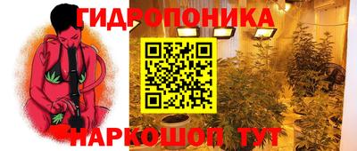хмурый Краснодар