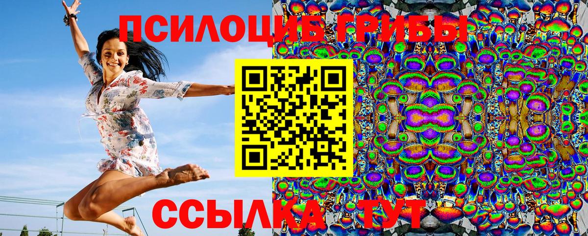 Псилоцибиновые грибы Psilocybine cubensis Карпинск