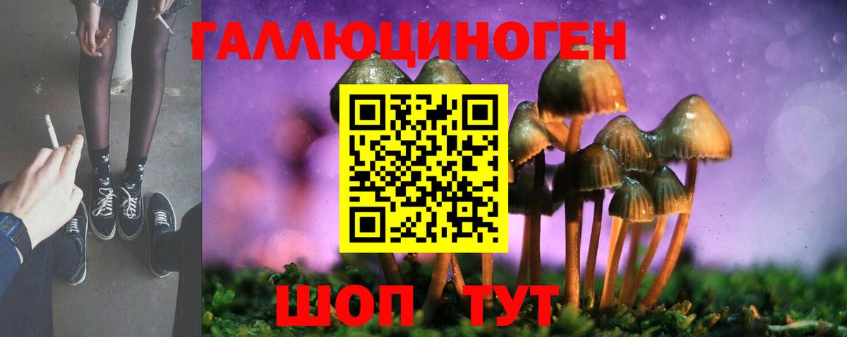 Псилоцибиновые грибы прущие грибы  что такое   Карпинск  Вход с VPN  Псилоцибиновые грибы Cubensis 